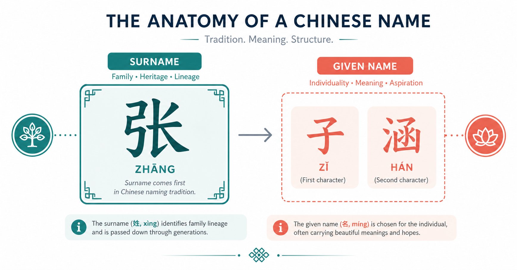 visual breakdown of chinese name structure showing surname first order and given name placement