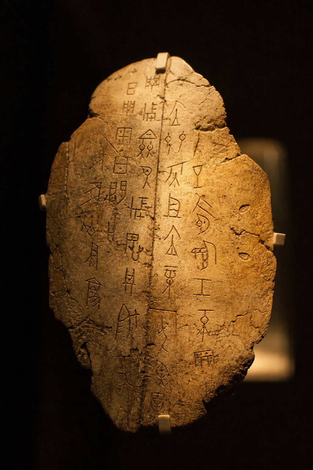 Oracle Bone Script Chinese Characters: What Dragon Bones Reveal
