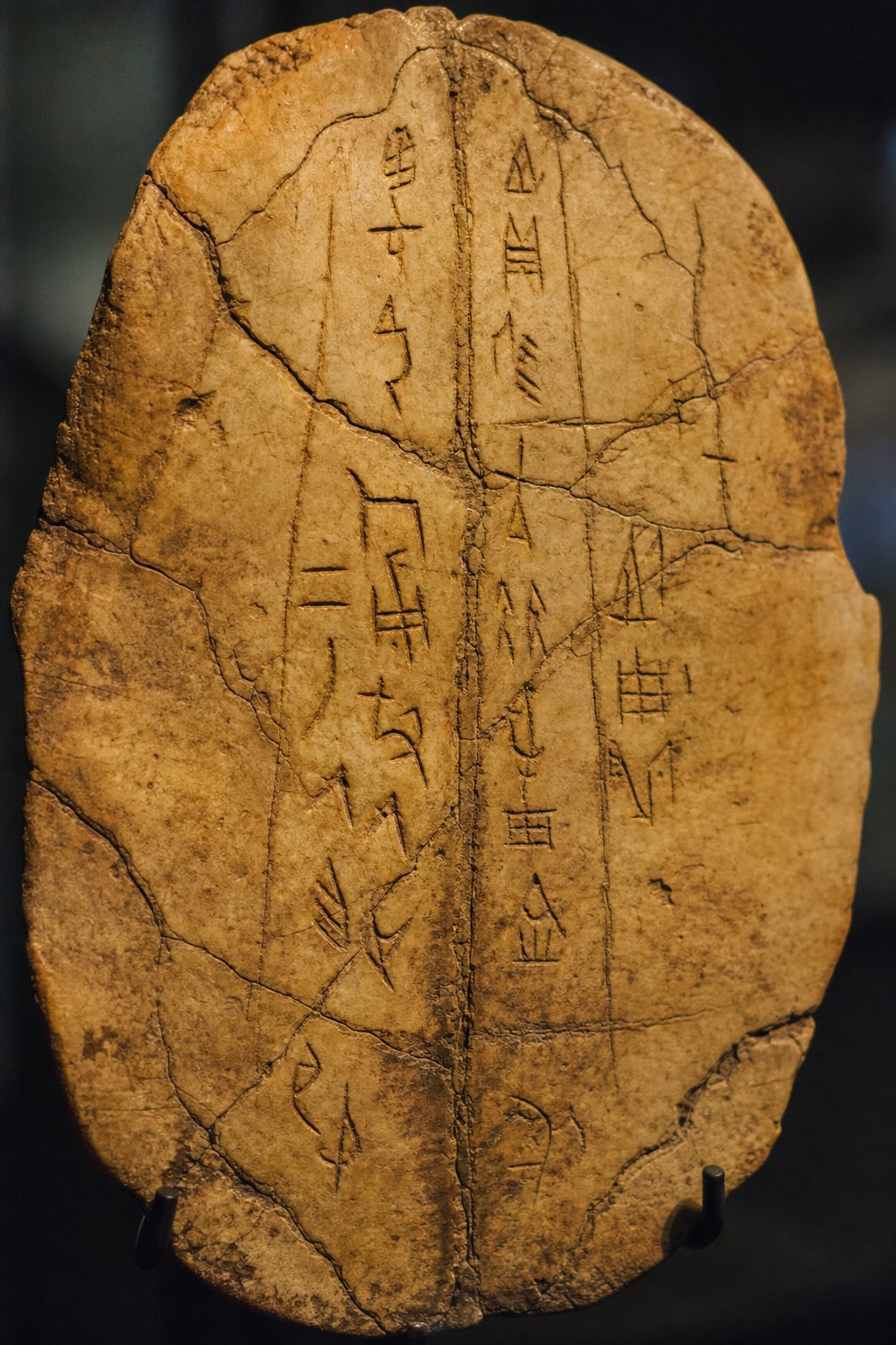 oracle bone inscriptions from the shang dynasty preserve the earliest known forms of the character 丁