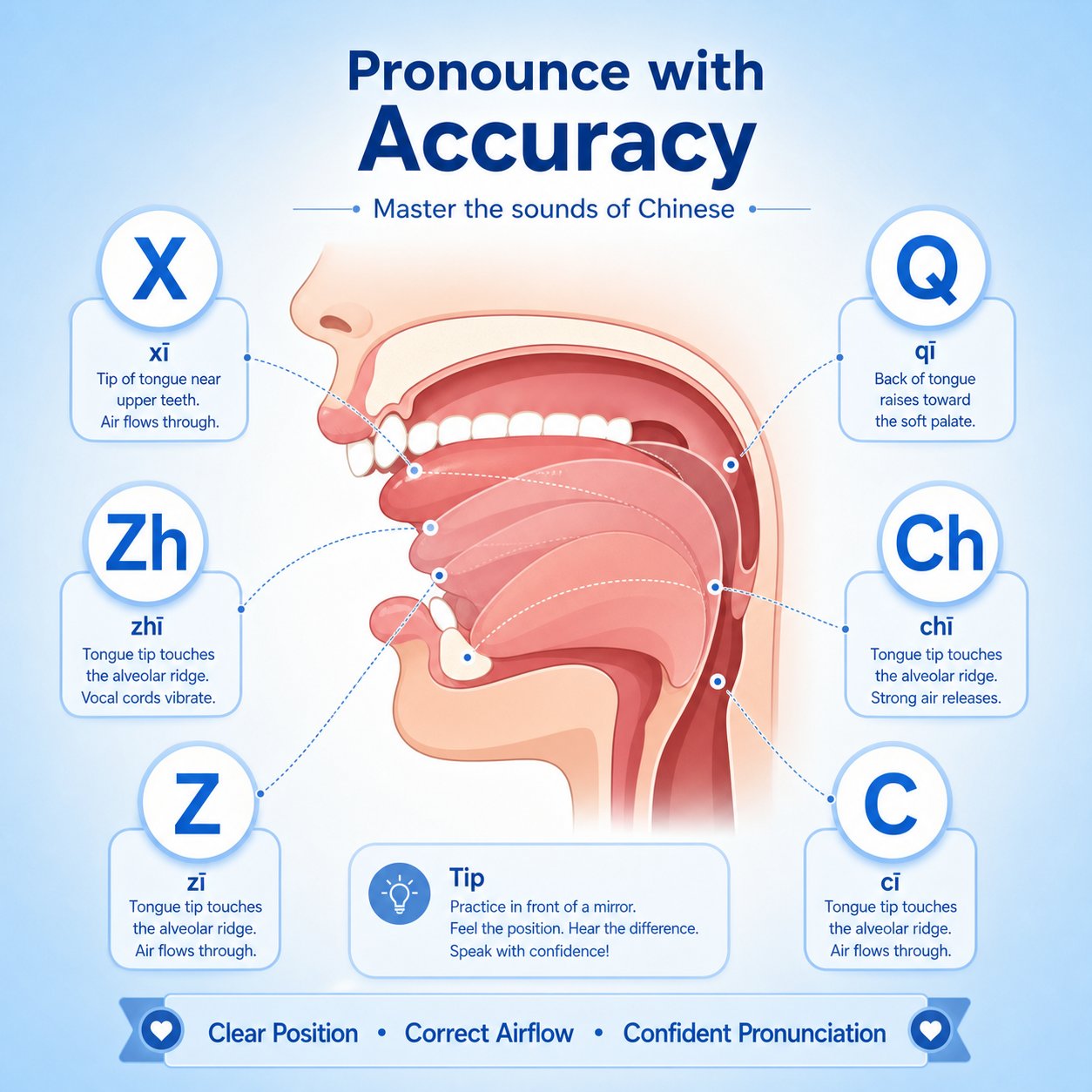 tongue positions for the six most confusing pinyin initials that appear in common chinese surnames